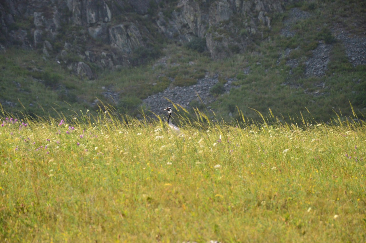 Мультинские озера.Комфорт. (10/24)