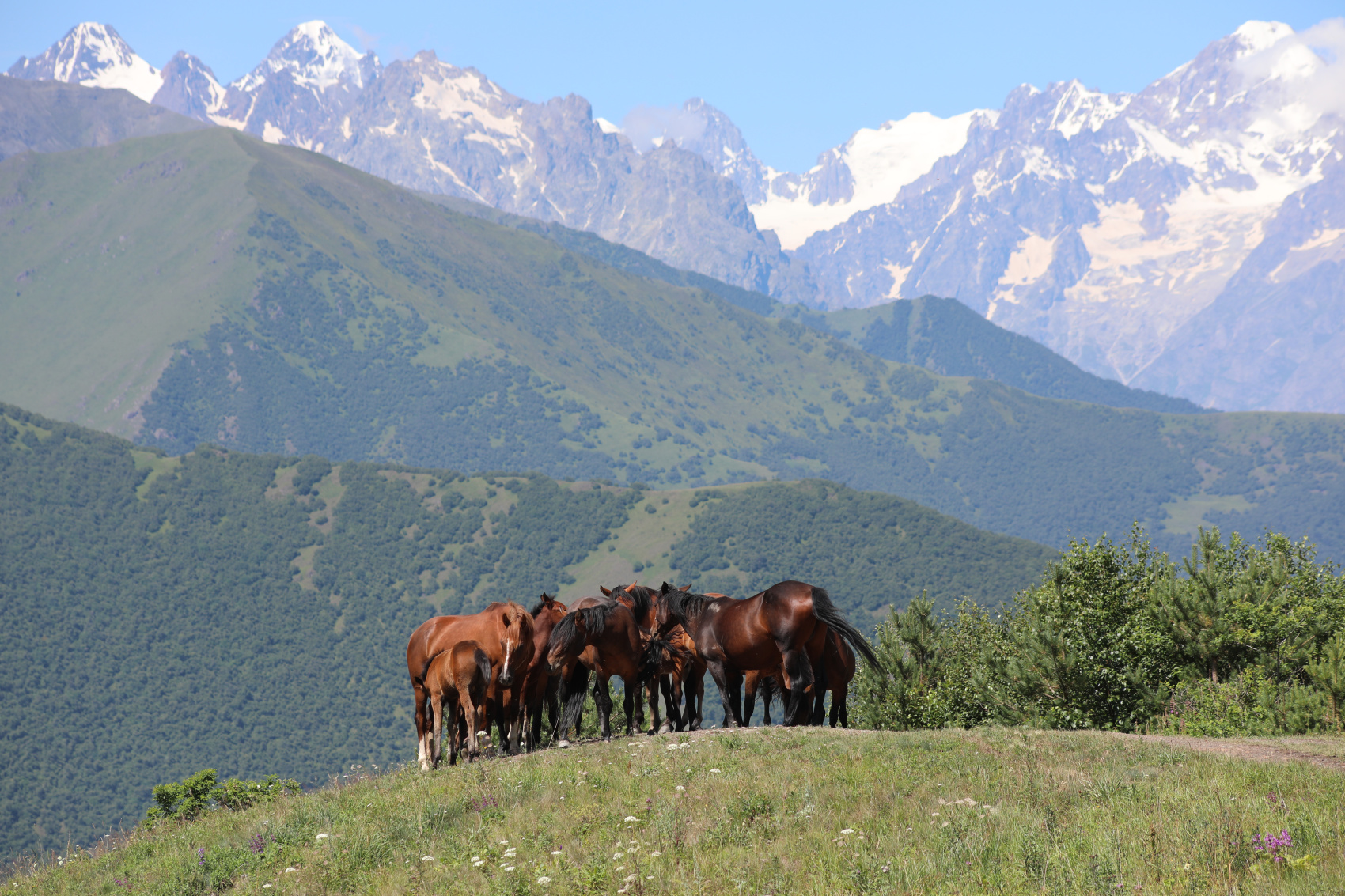 Концентрат красоты - Северная Осетия и Ингушетия (31/41)