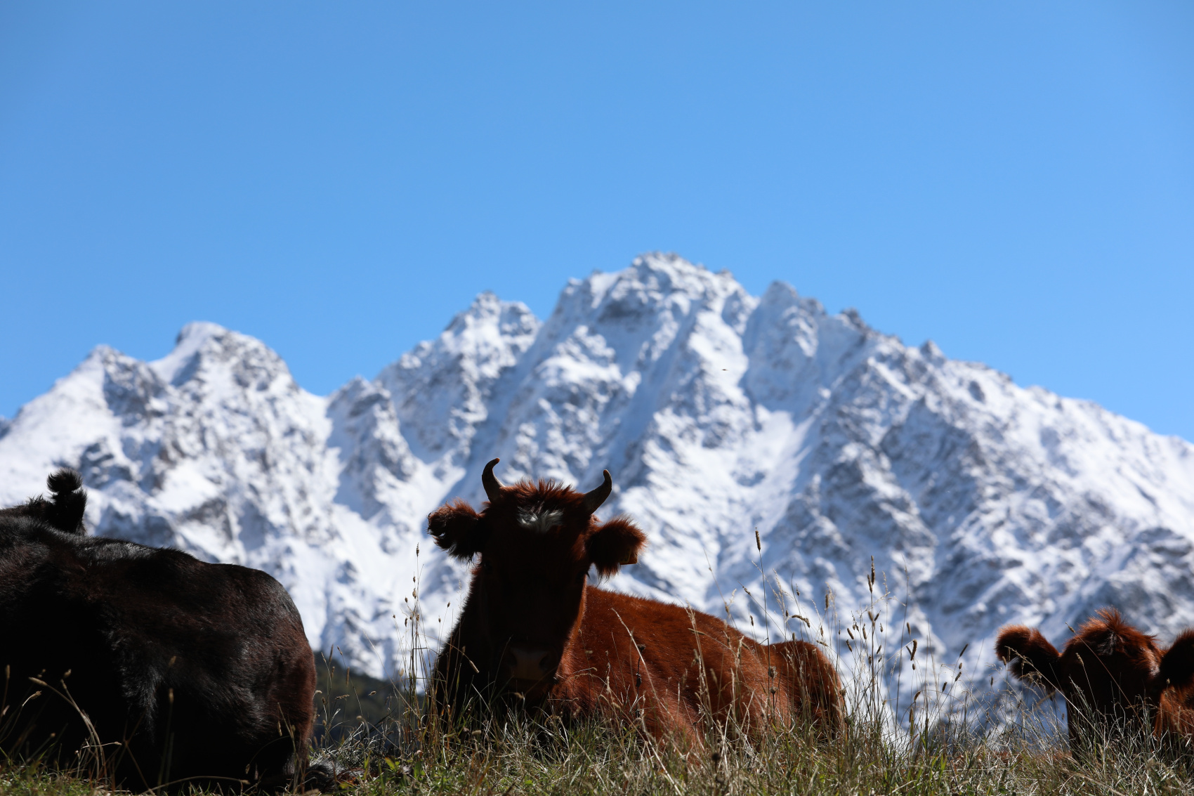 Концентрат красоты - Северная Осетия и Ингушетия (27/41)
