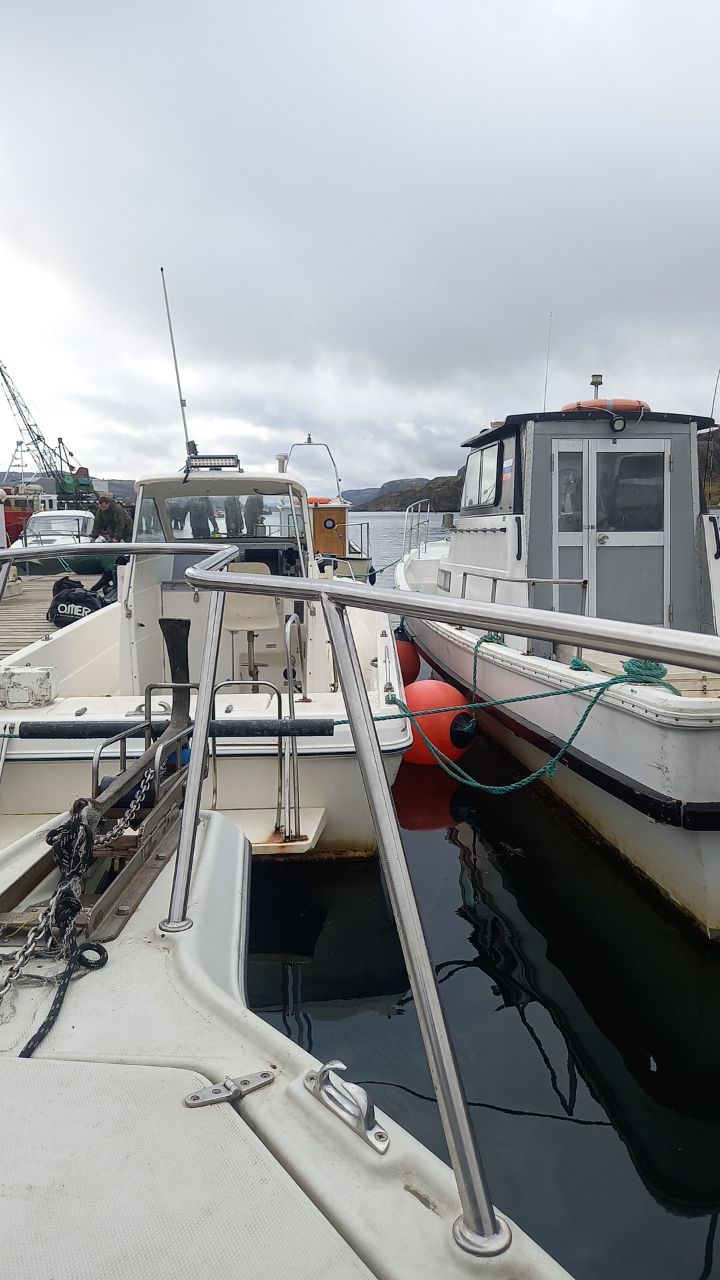 Териберка - Фотоохота за северным сиянием. 3 дня на Краю Света! (18/65)