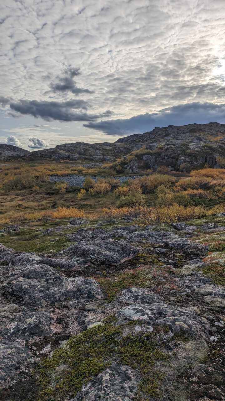 Териберка - Фотоохота за северным сиянием. 3 дня на Краю Света! (22/65)