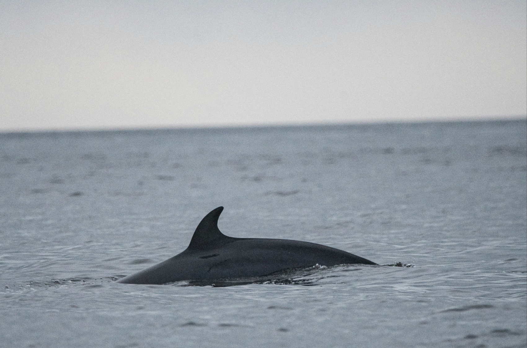 Териберка - Фотоохота за северным сиянием. 3 дня на Краю Света! (24/65)