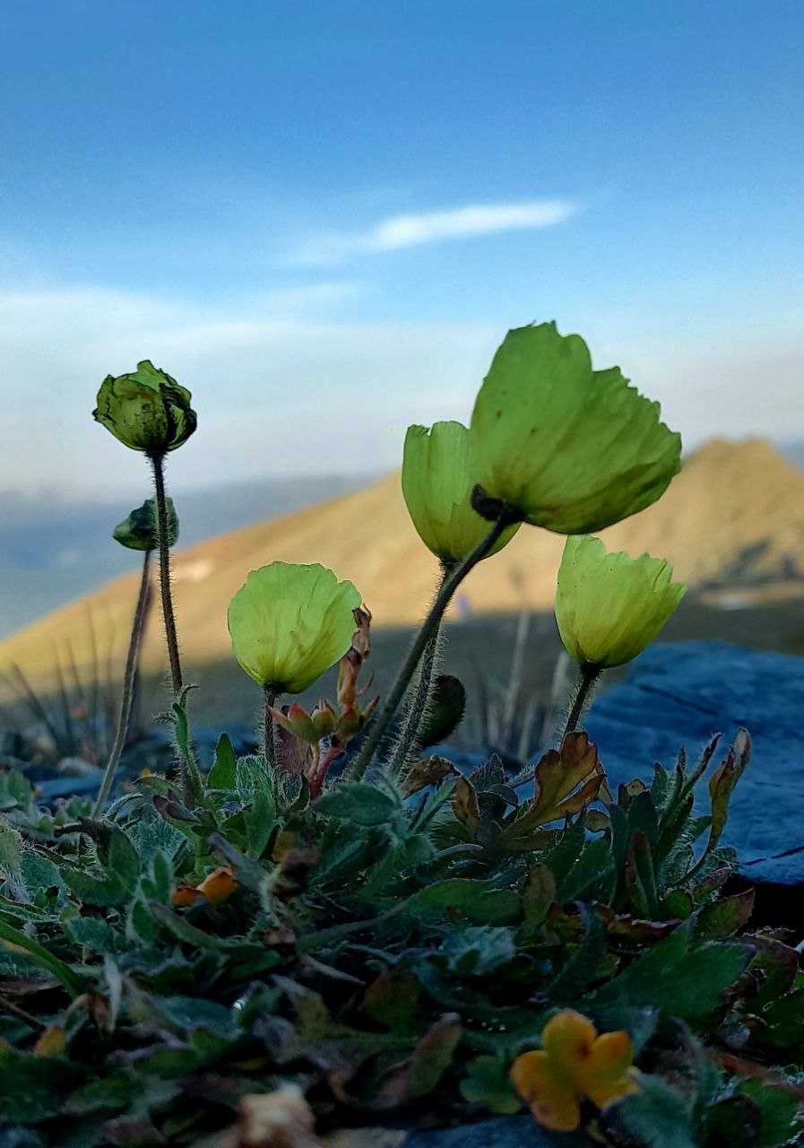 Териберка - Фотоохота за северным сиянием. 3 дня на Краю Света! (25/65)