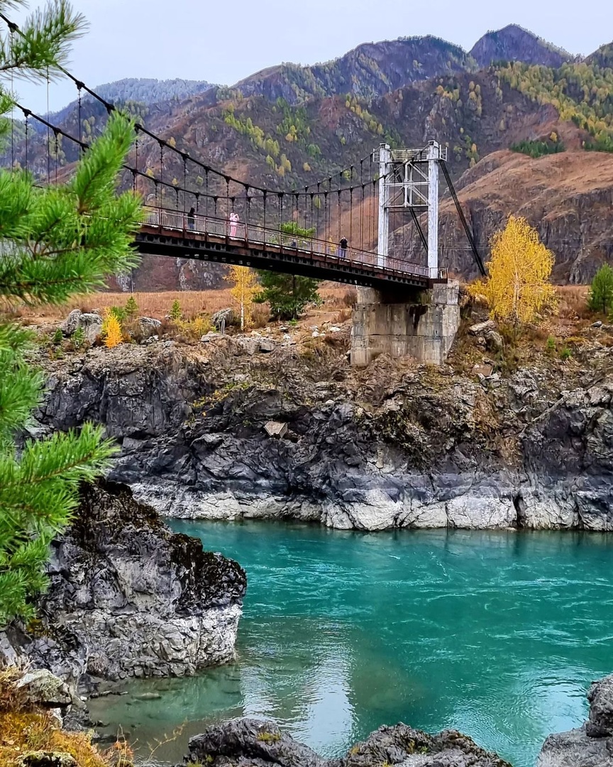 Путешествие Краски осени Алтая (5/26)