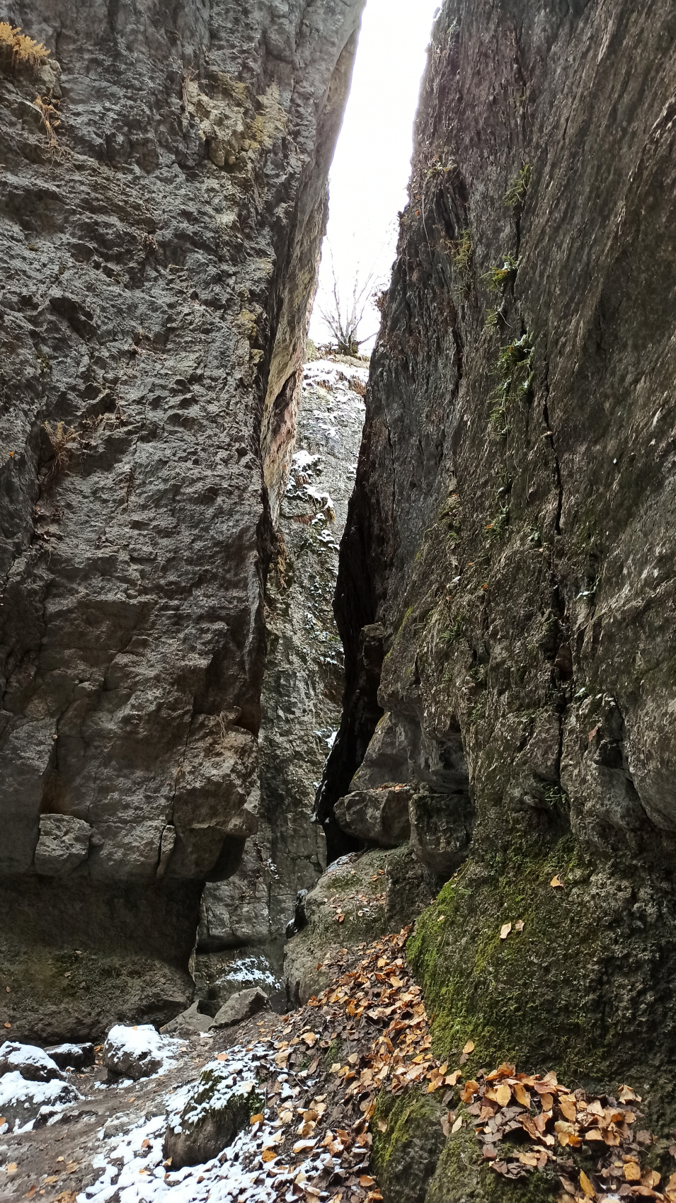 Повыше в горы от городской суеты (всё включено) (9/38)