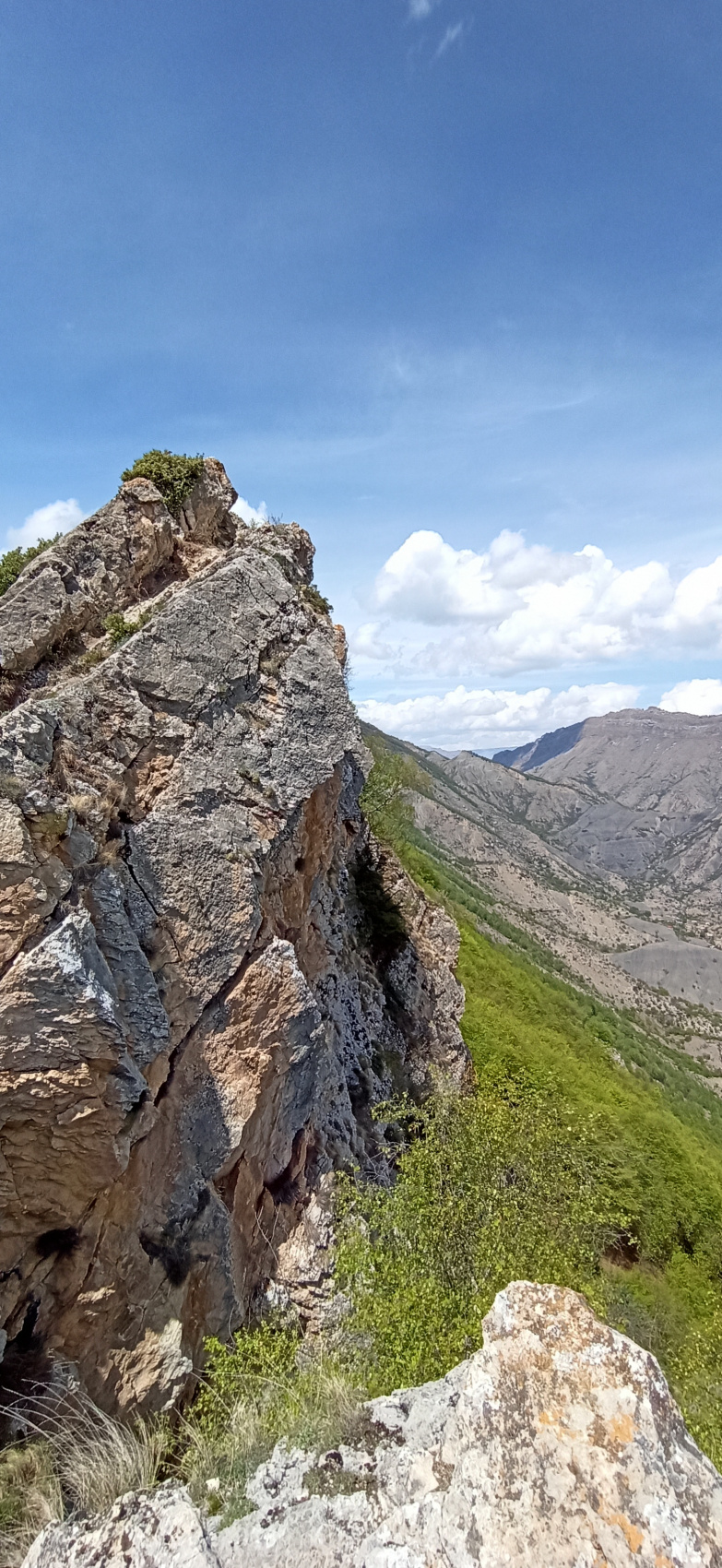 Повыше в горы от городской суеты (всё включено) (24/38)