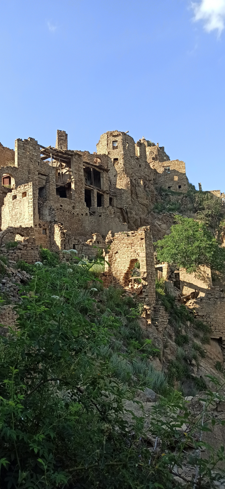 Повыше в горы от городской суеты (всё включено) (15/38)