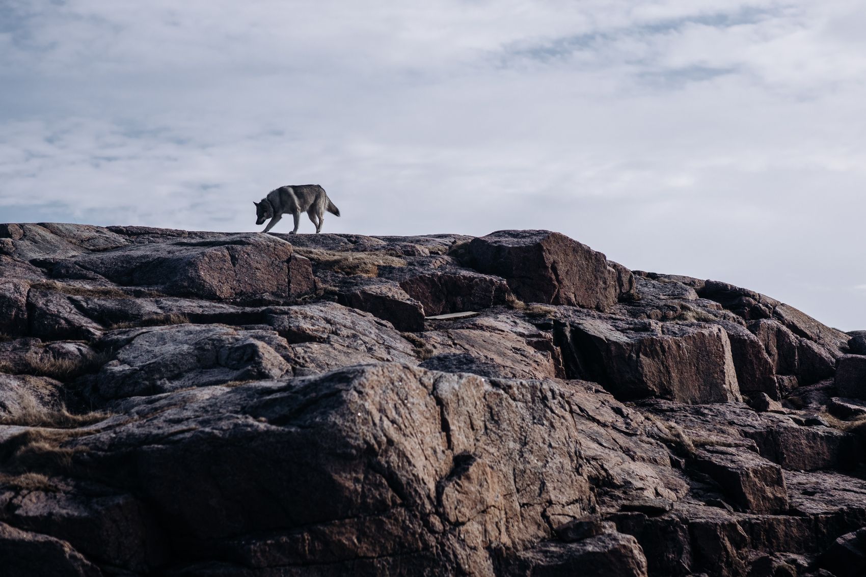 Териберка. Сияние. Хибины (34/91)