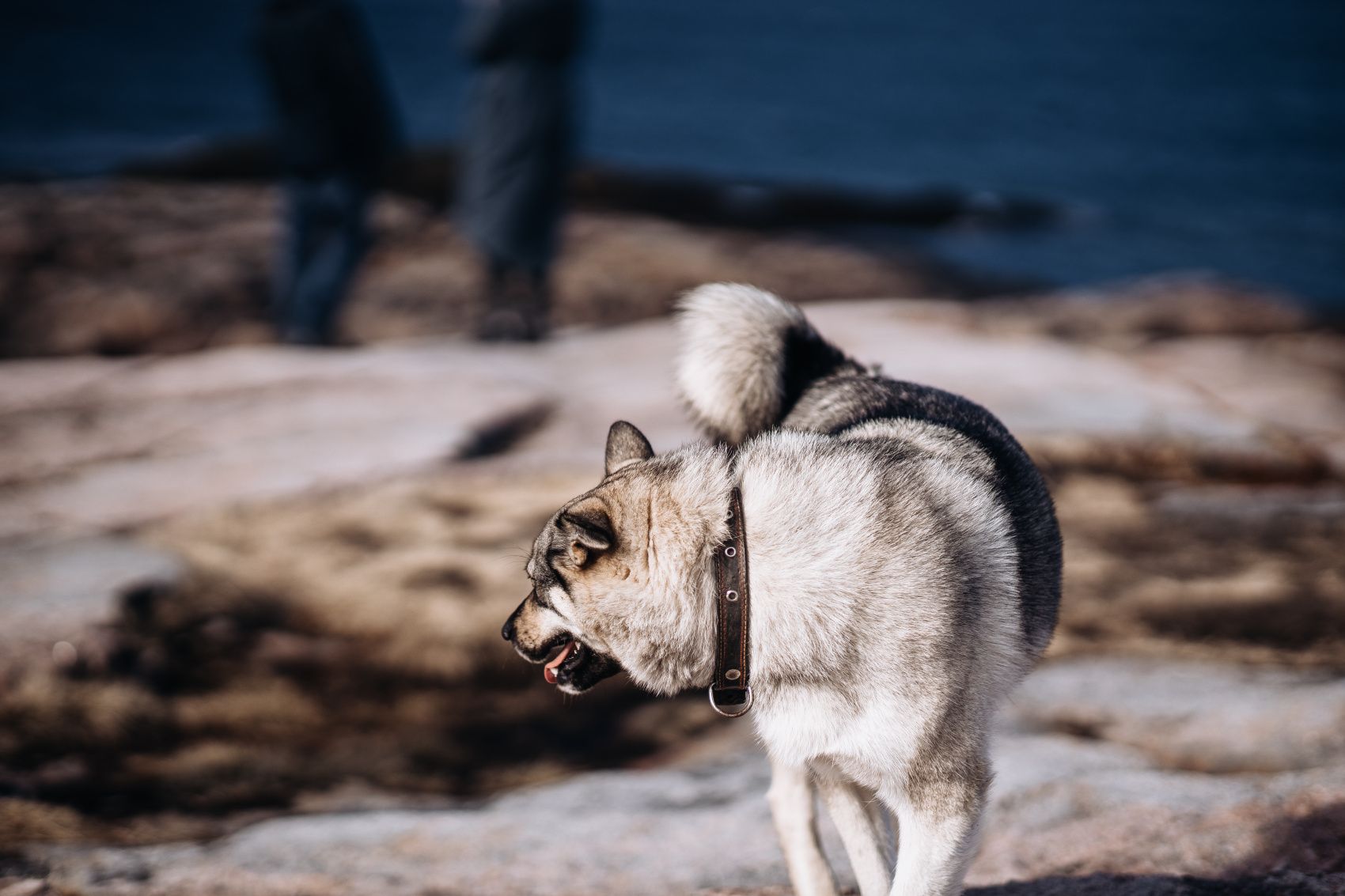 Териберка. Сияние. Хибины (30/91)