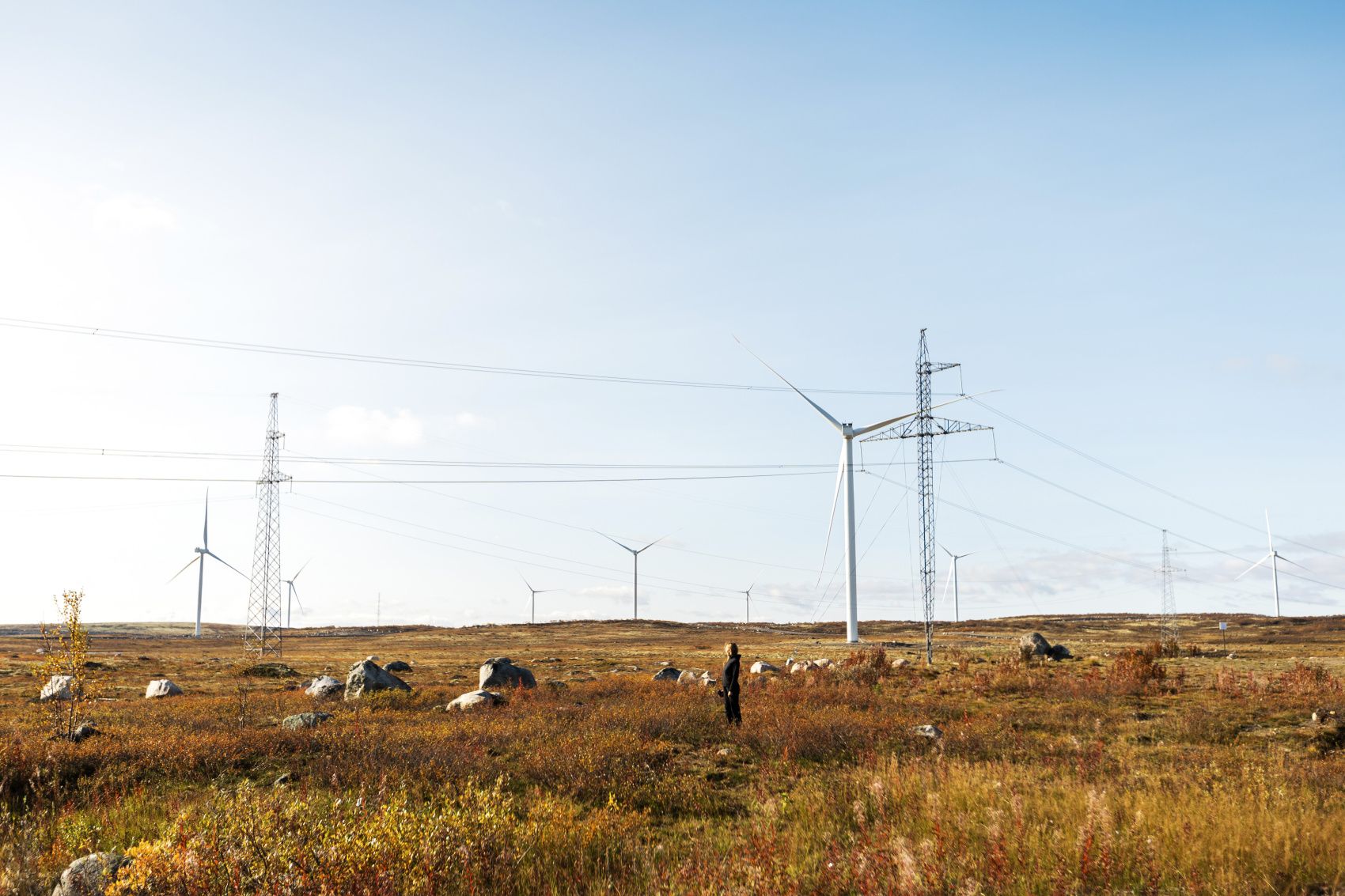 Териберка. Сияние. Хибины (32/91)