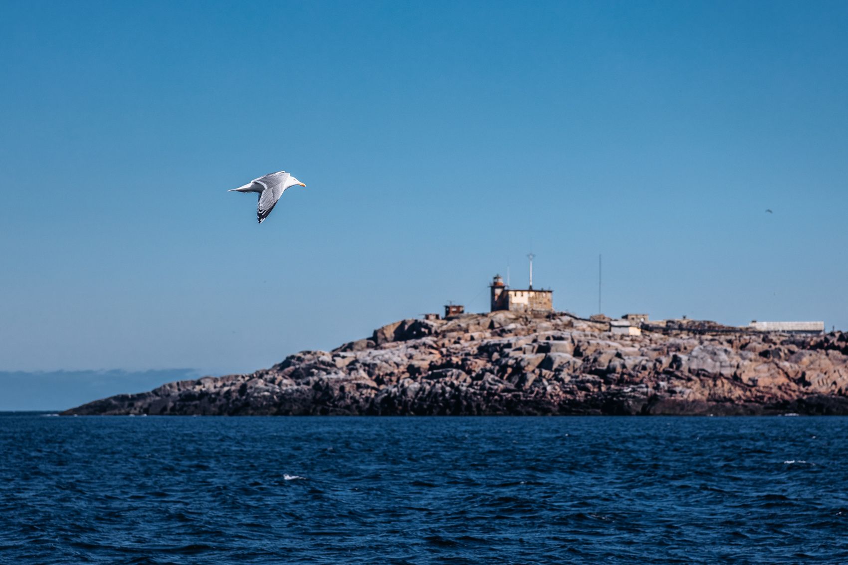 Териберка. Сияние. Хибины (4/91)