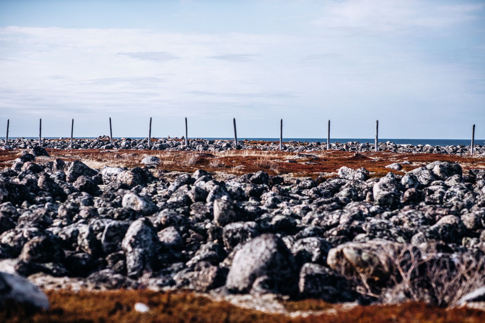 Териберка. Сияние. Хибины (38/91)