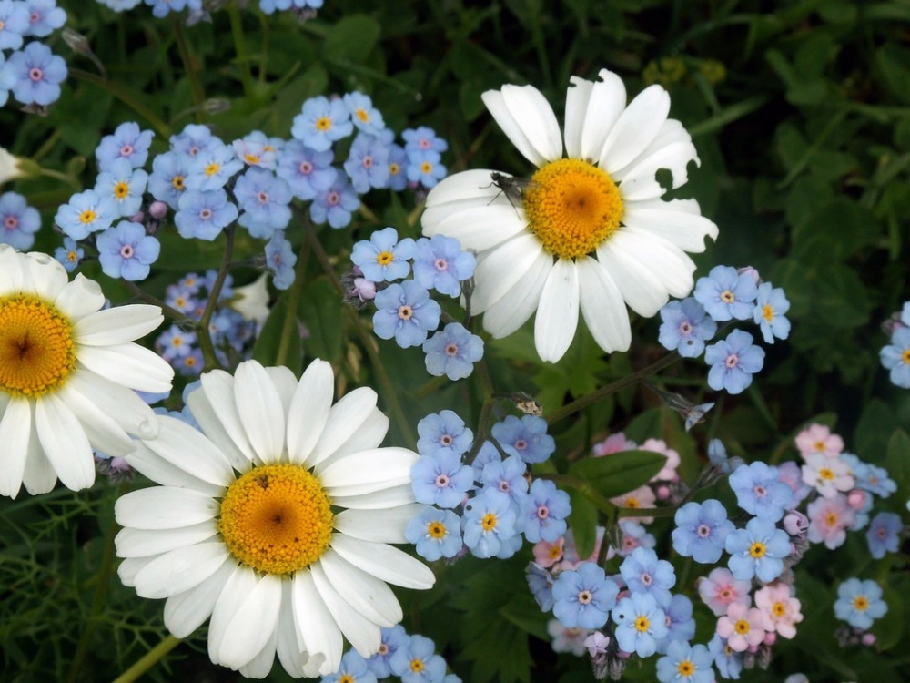 Краски Кавказа: Северная Осетия и Ингушетия (6/28)