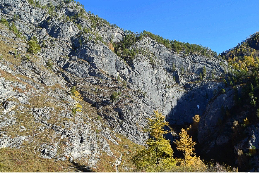 Дивный, Сказочный Алтай. Вариант проживания - Стандарт (5/25)