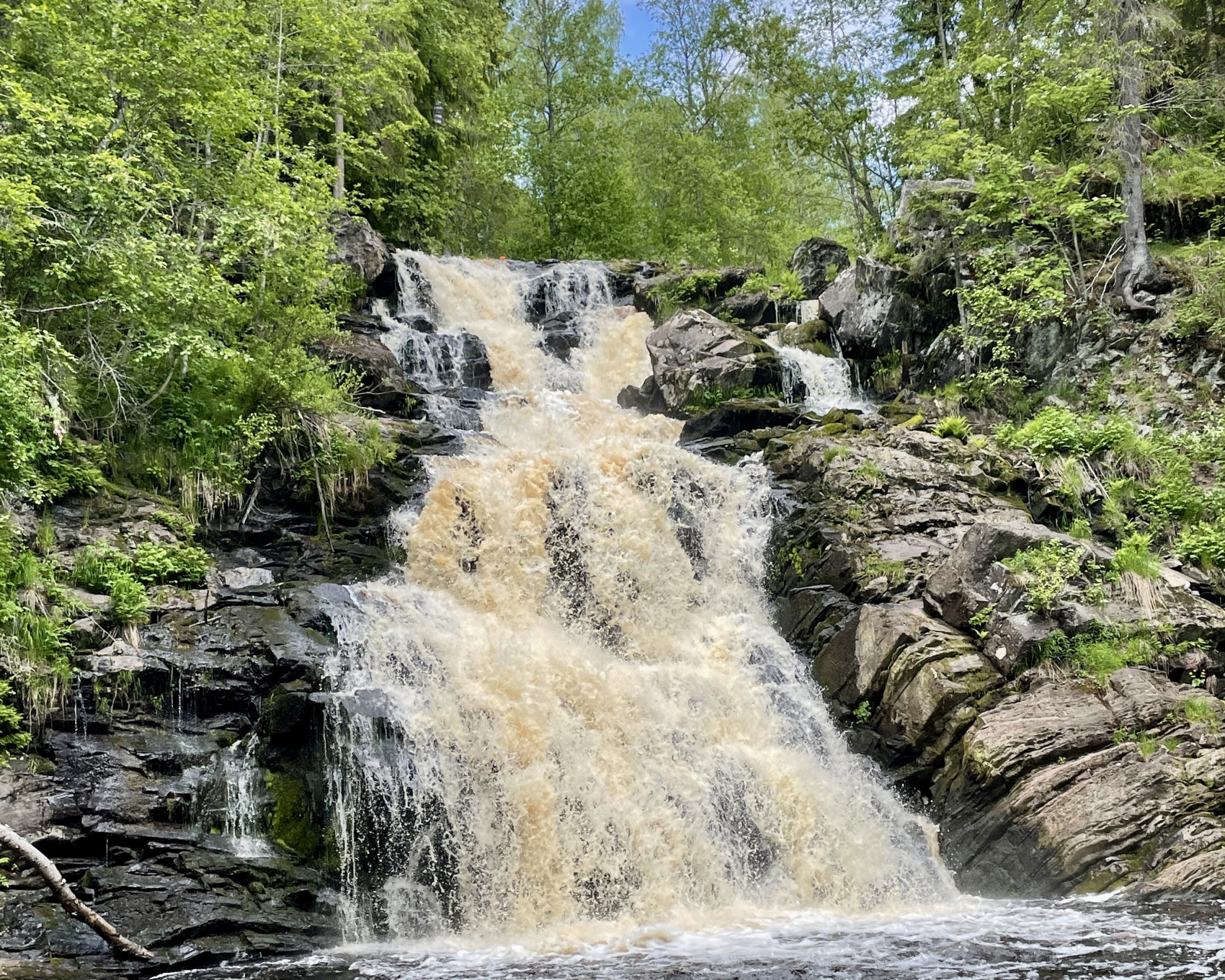 Премиум Карелия до 6 чел. Воздушный шар, Катер, Рускеала, Ретропоезд, Викинги (5/41)