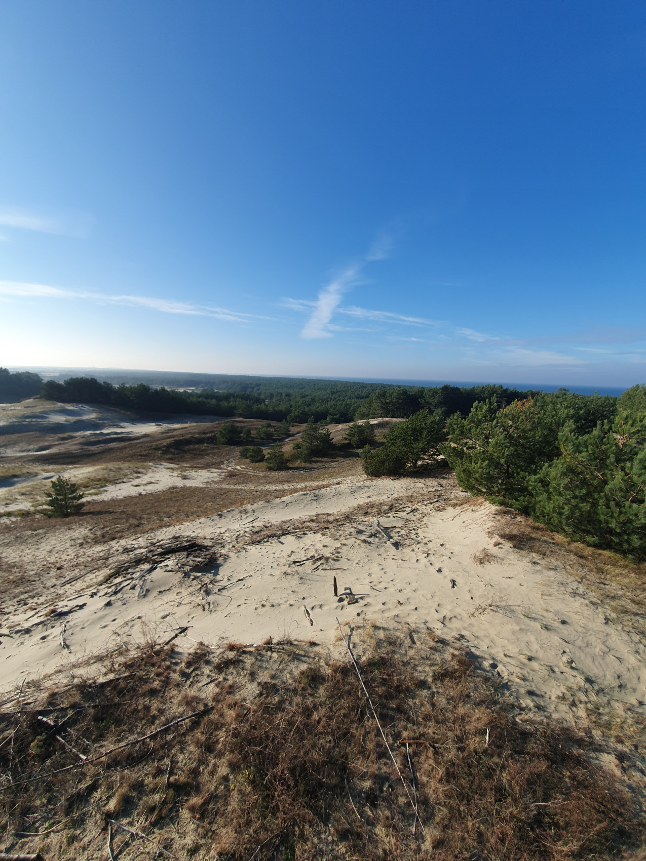Калининград от местного. С душой и для души! (18/37)