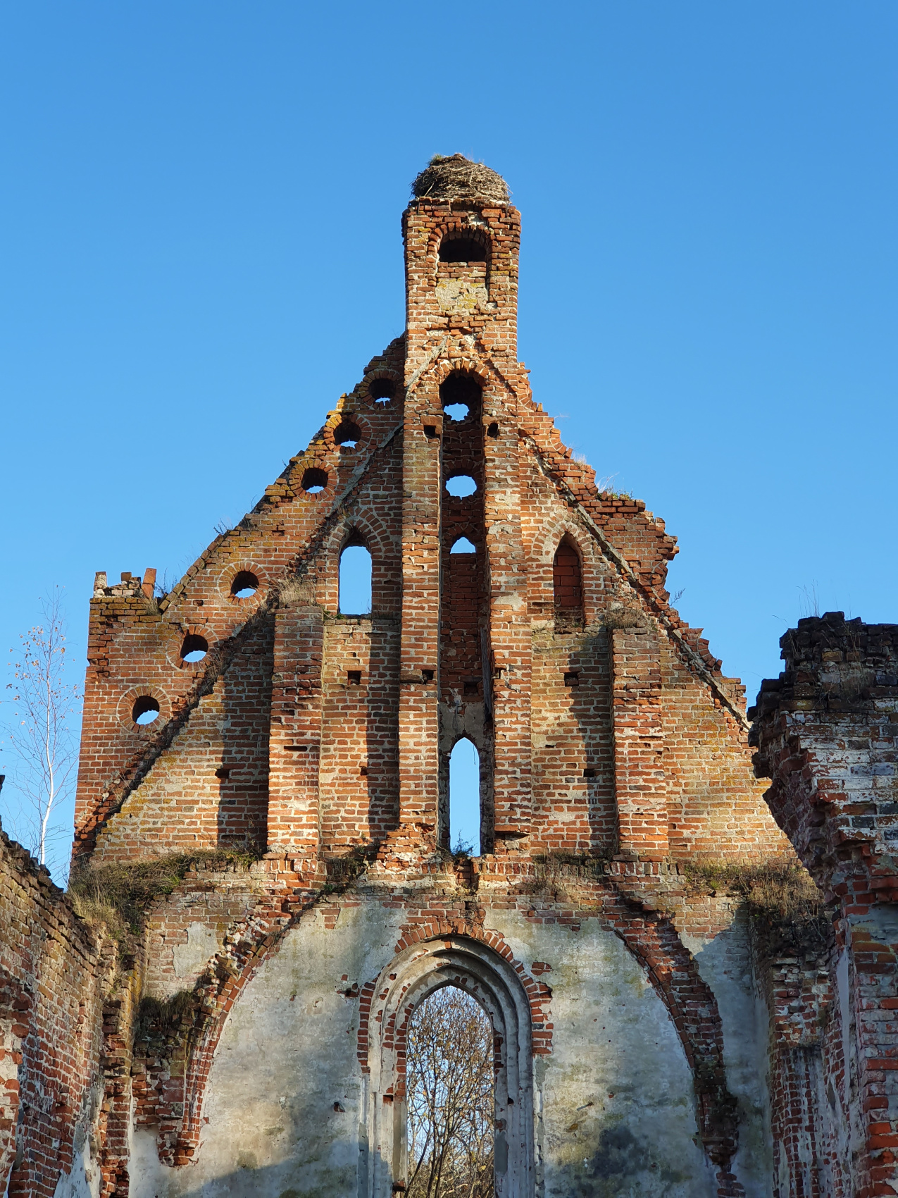 Калининград от местного. С душой и для души! (19/37)