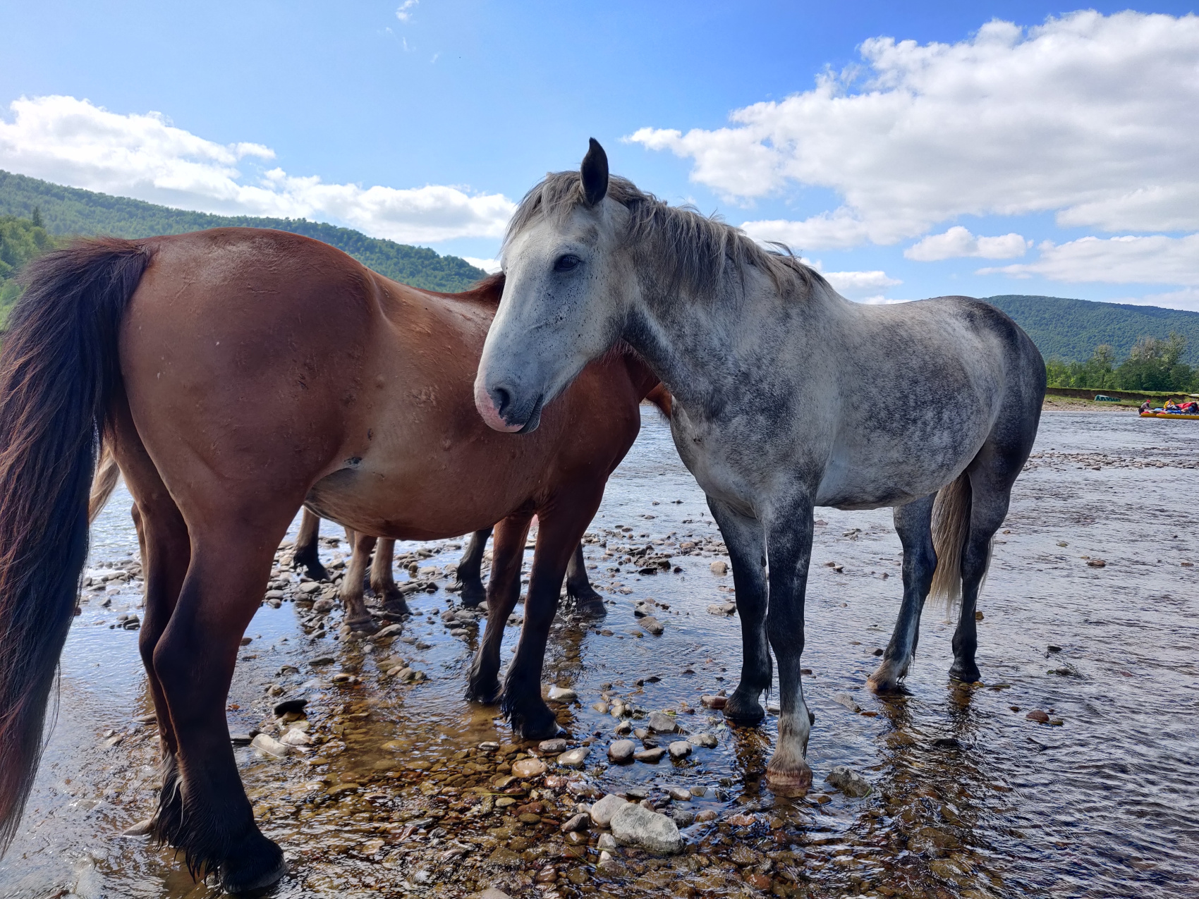 Активный сплав по реке Зилим с порогом Кысык! (3/24)