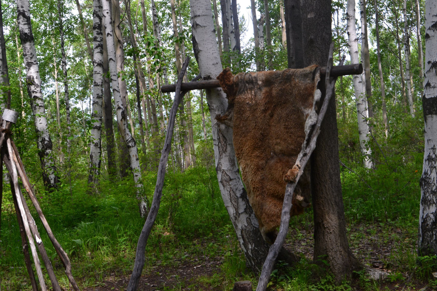 Великолепие и Классика Байкала: Листвянка, Кбжд, Усть-Орда и Ольхон (65/95)
