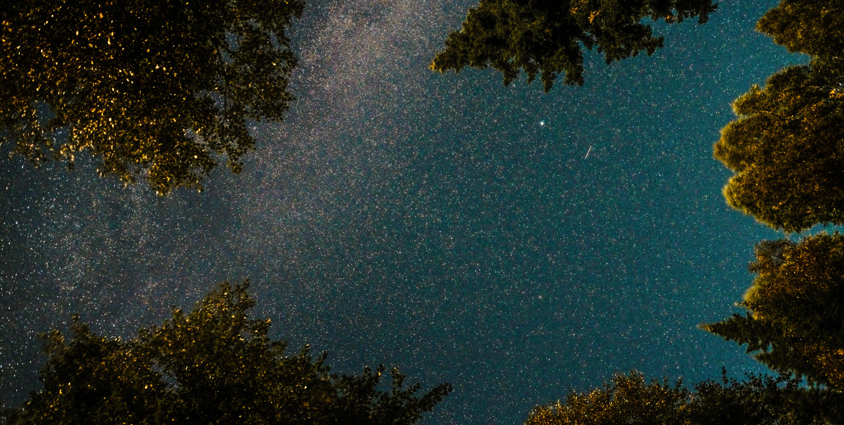 Алтай. Южный Берег Телецкого Озера (12/41)