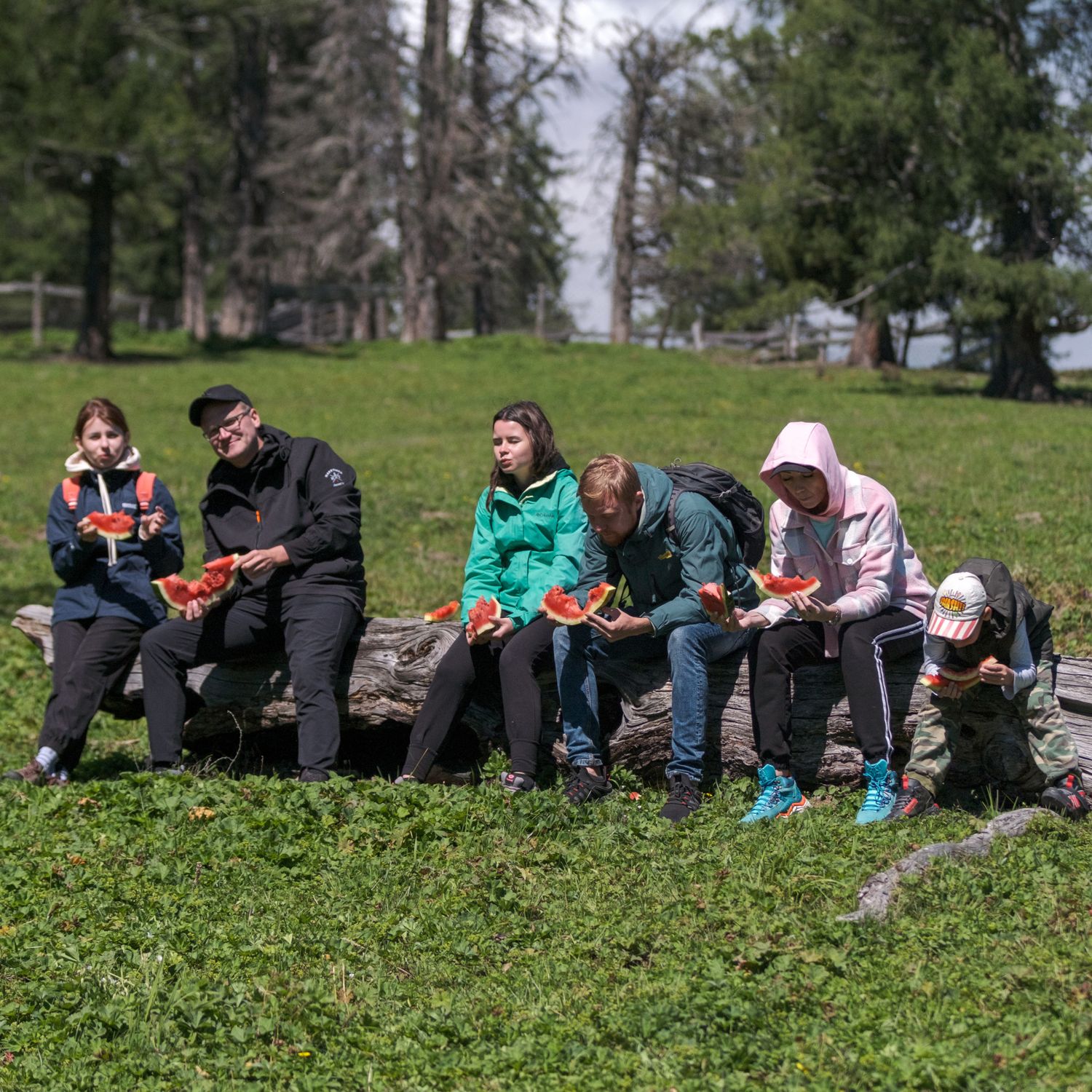 Алтай. Южный Берег Телецкого Озера (17/41)