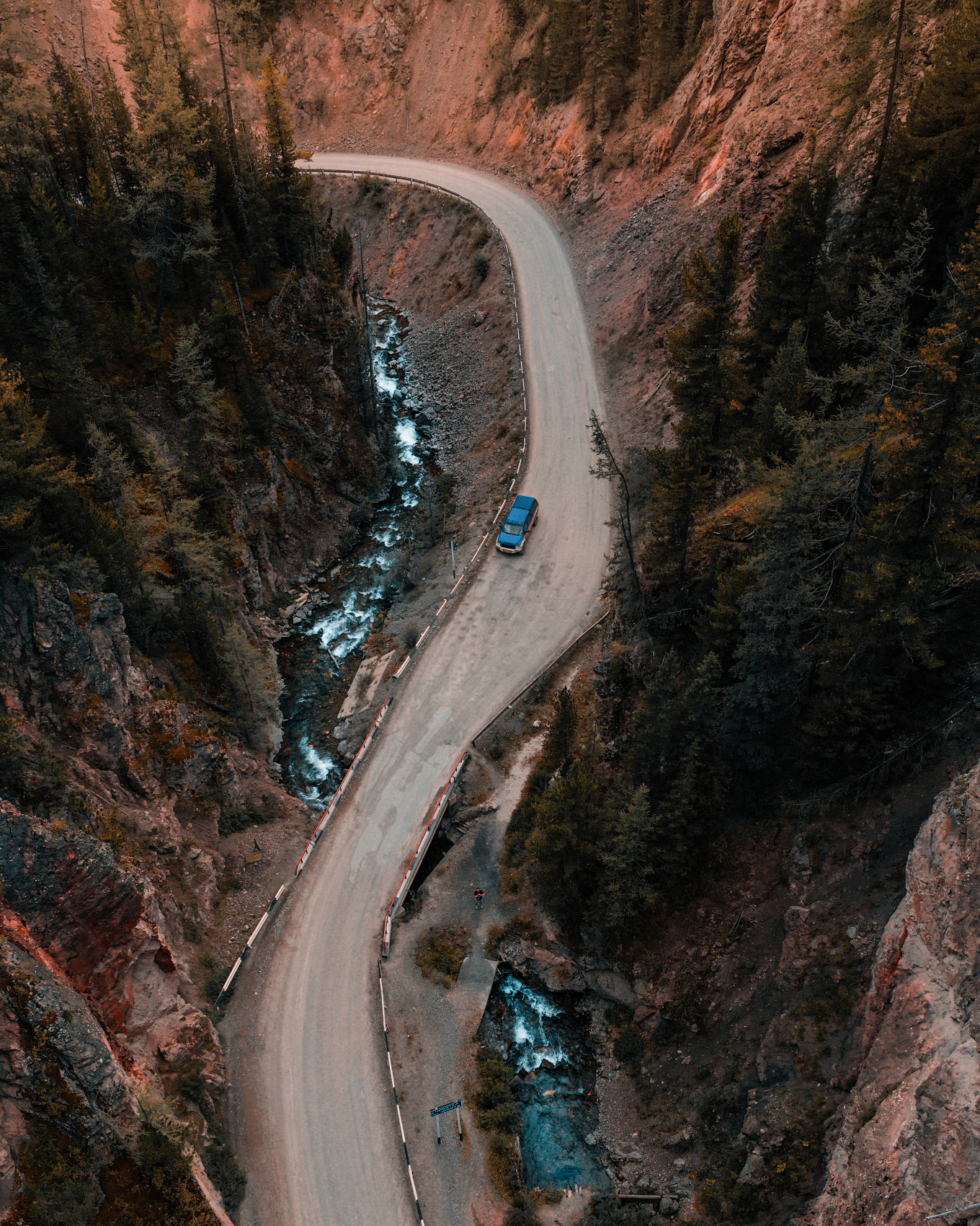 Весенний Маральник на Алтае (22/41)