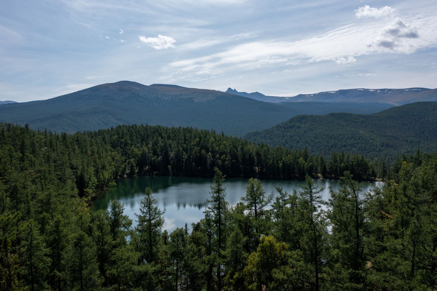 Весенний Маральник на Алтае (9/41)
