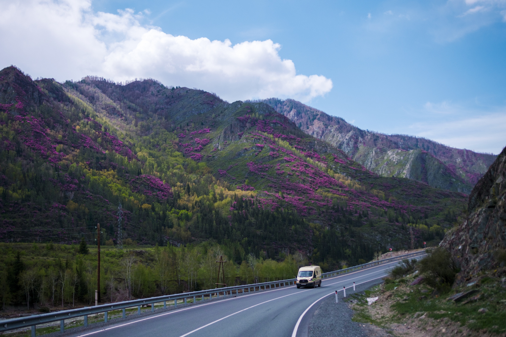Весенний Маральник на Алтае (11/41)