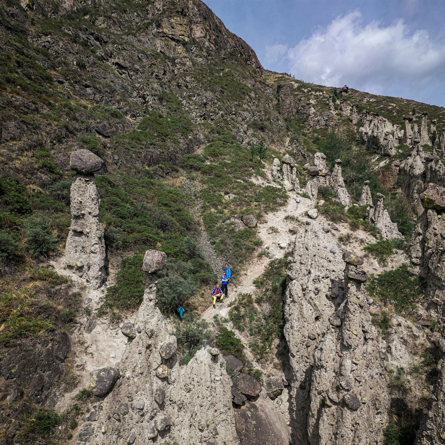 Весенний Маральник на Алтае (26/41)