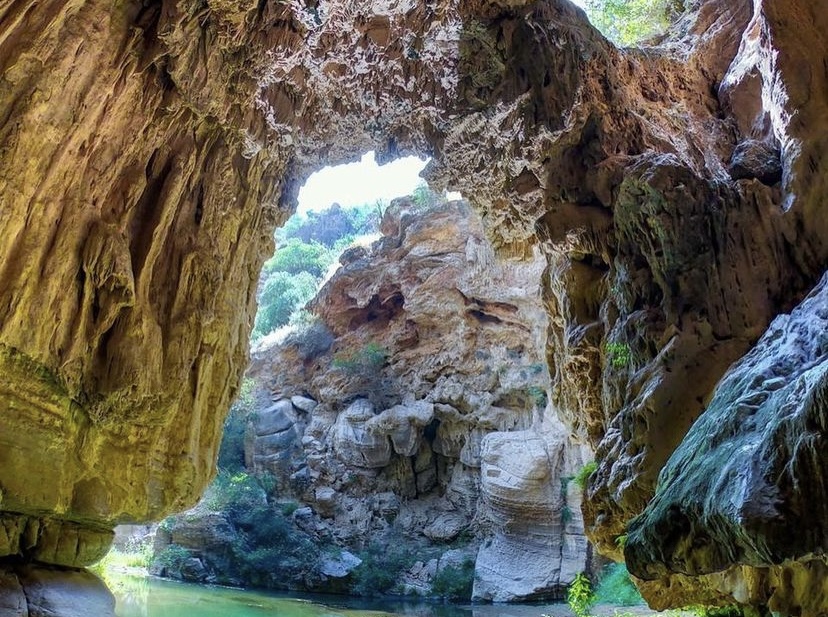 Попробуй Армению на вкус за 5 дней! Всё Включено (30/50)