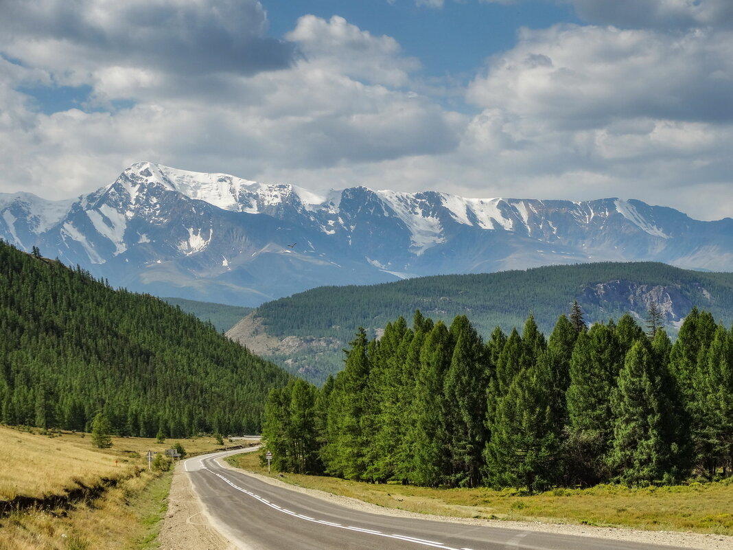 Золотое Кольцо Алтая 2026 - Максимум За 7 Дней! (28/42)
