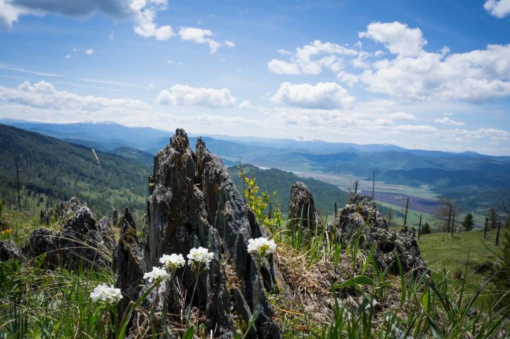 Золотое Кольцо Алтая 2026 - Максимум За 7 Дней! (25/42)