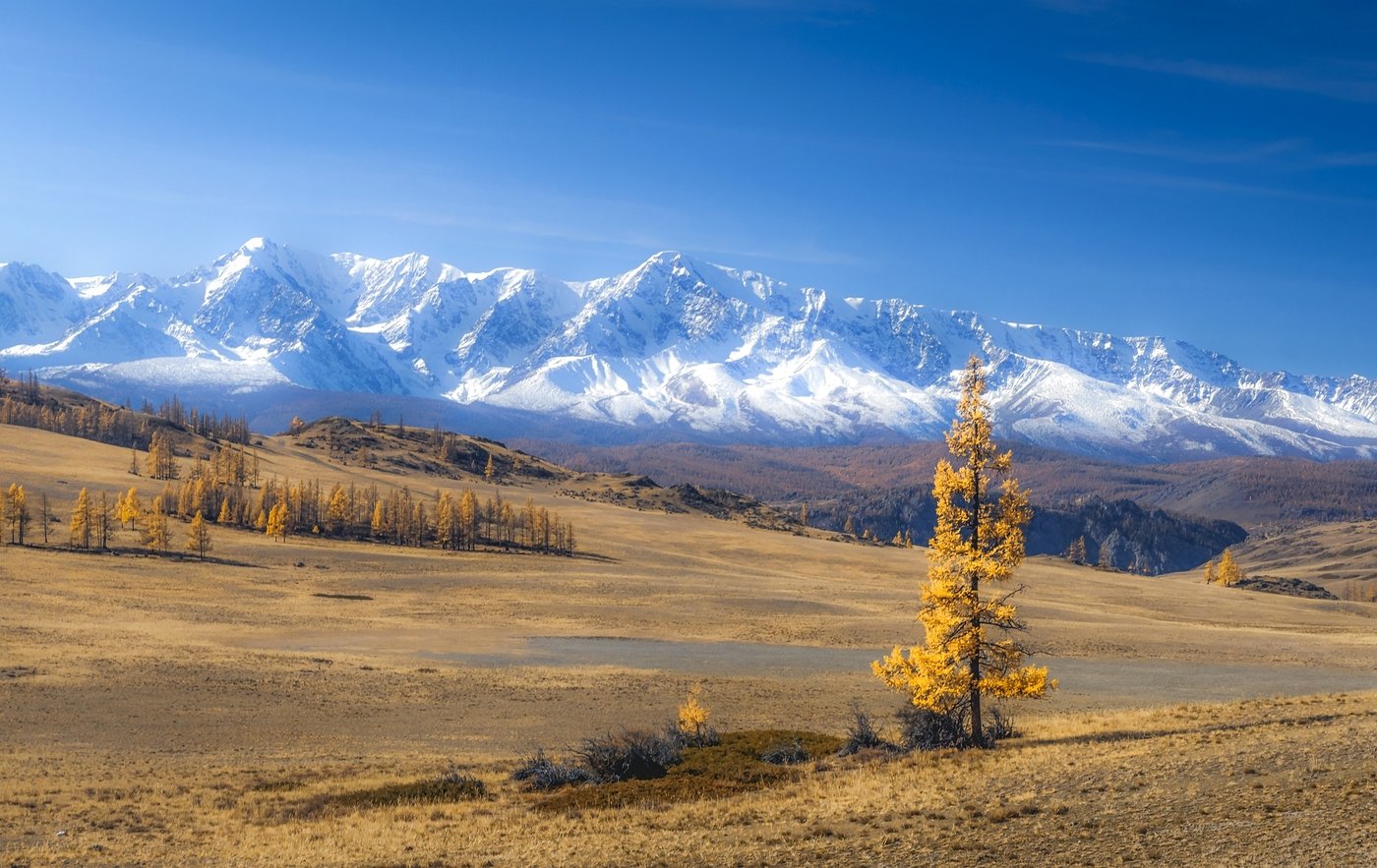 Золотое Кольцо Алтая 2026 - Максимум За 7 Дней! (26/42)