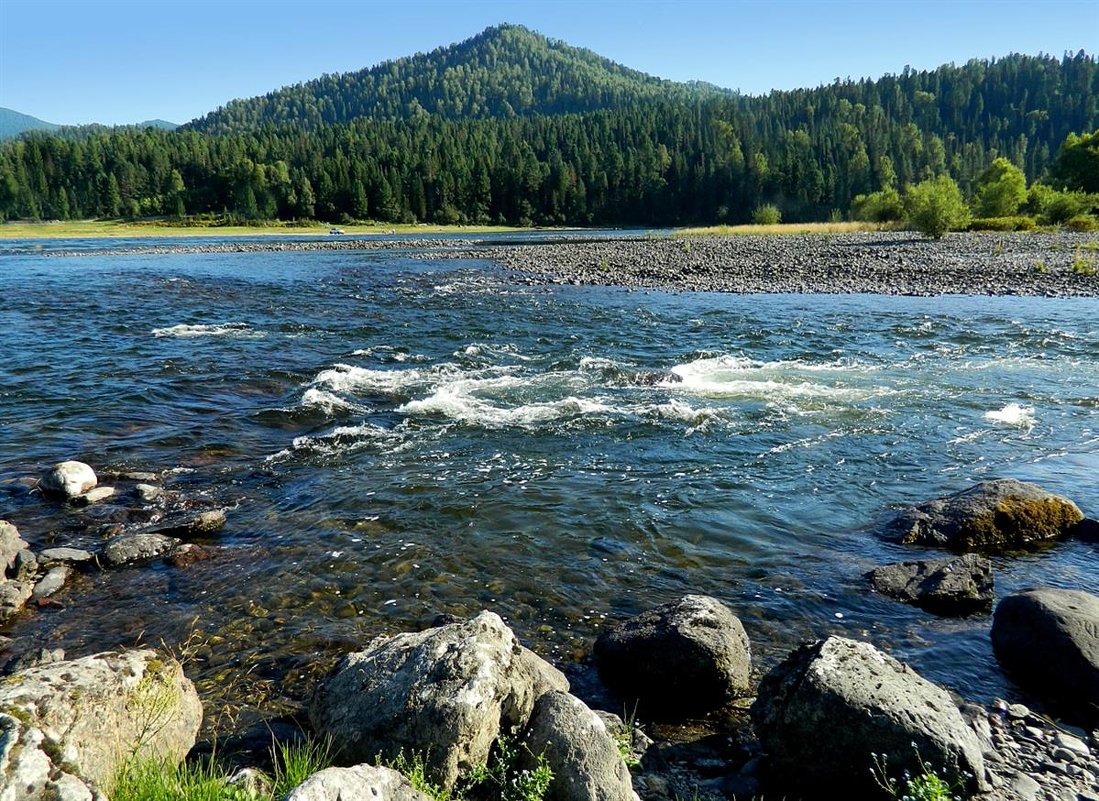 Золотое Кольцо Алтая 2026 - Максимум За 7 Дней! (8/42)