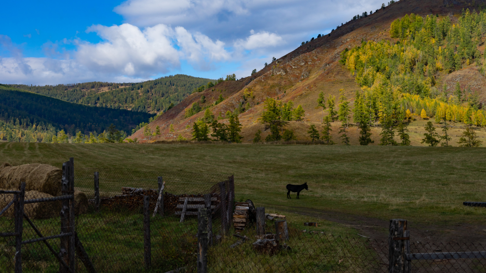 Горный тур по Алтаю Бирюза Мультинских озёр (без рюкзаков и палаток) (6/59)