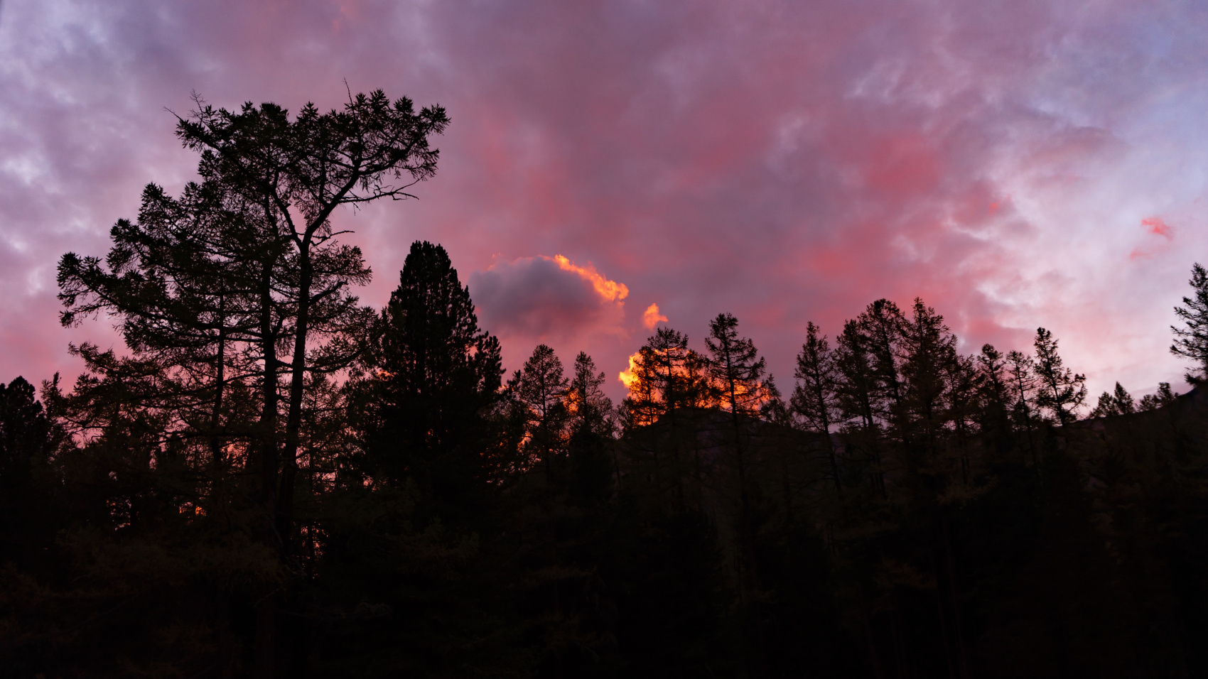 Горный тур по Алтаю Бирюза Мультинских озёр (без рюкзаков и палаток) (34/59)