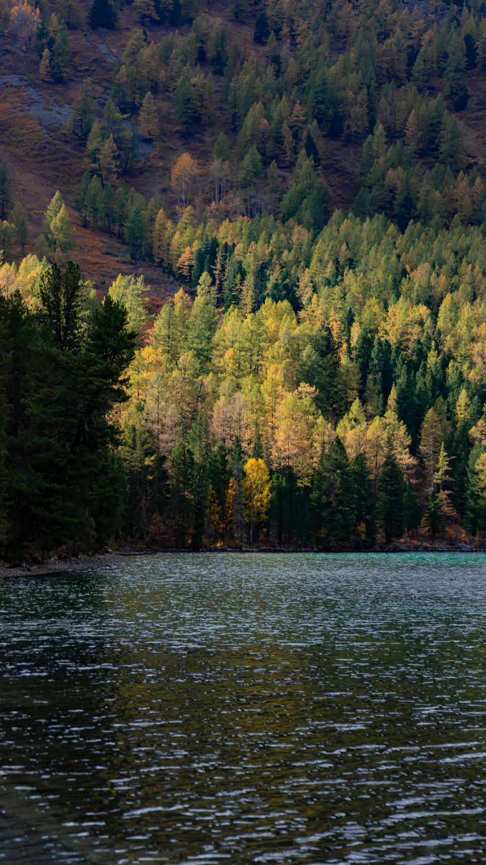Горный тур по Алтаю Бирюза Мультинских озёр (без рюкзаков и палаток) (9/59)