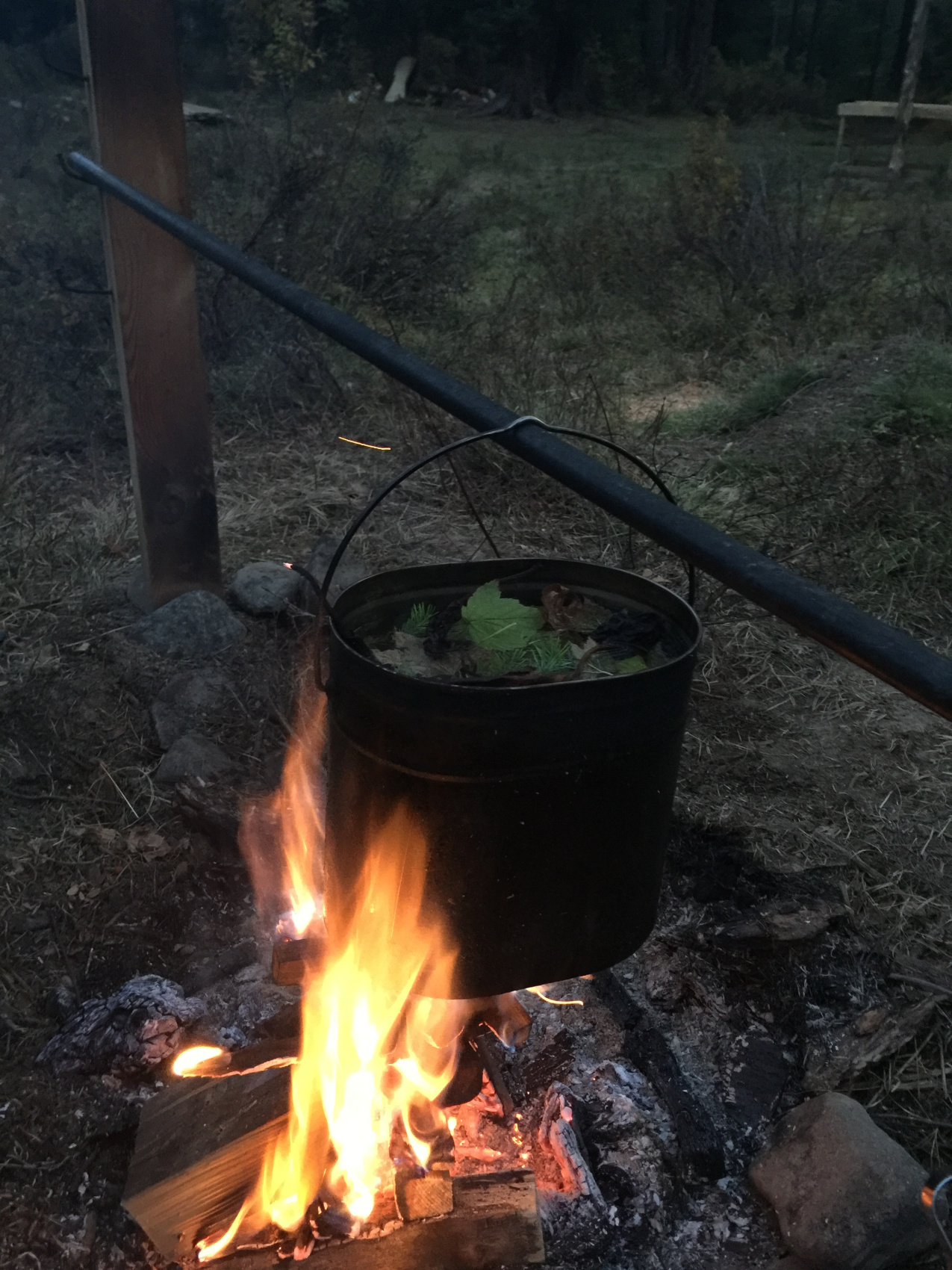 Горный тур по Алтаю Бирюза Мультинских озёр (без рюкзаков и палаток) (22/59)