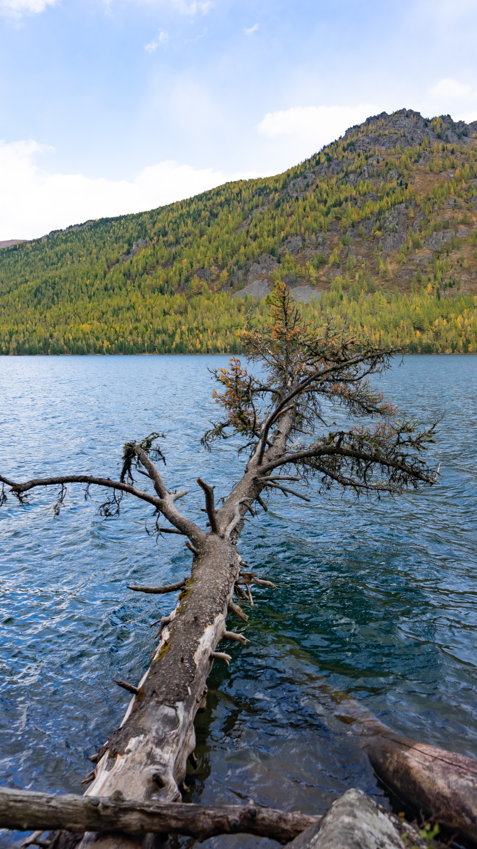 Горный тур по Алтаю Бирюза Мультинских озёр (без рюкзаков и палаток) (11/59)