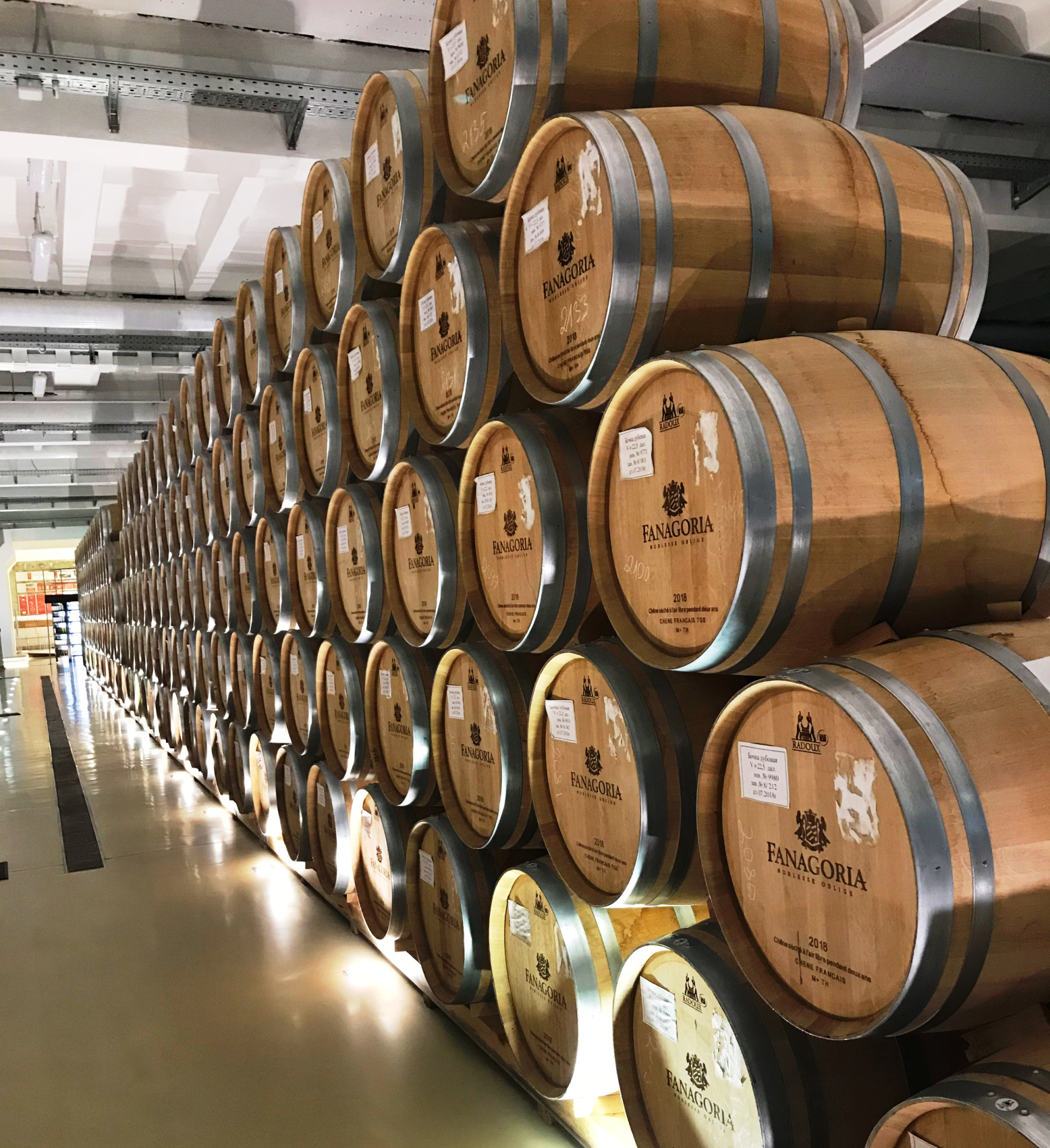 Тамань: вино, сыр и лотосы  винный тур на Таманский полуостров (18/62)