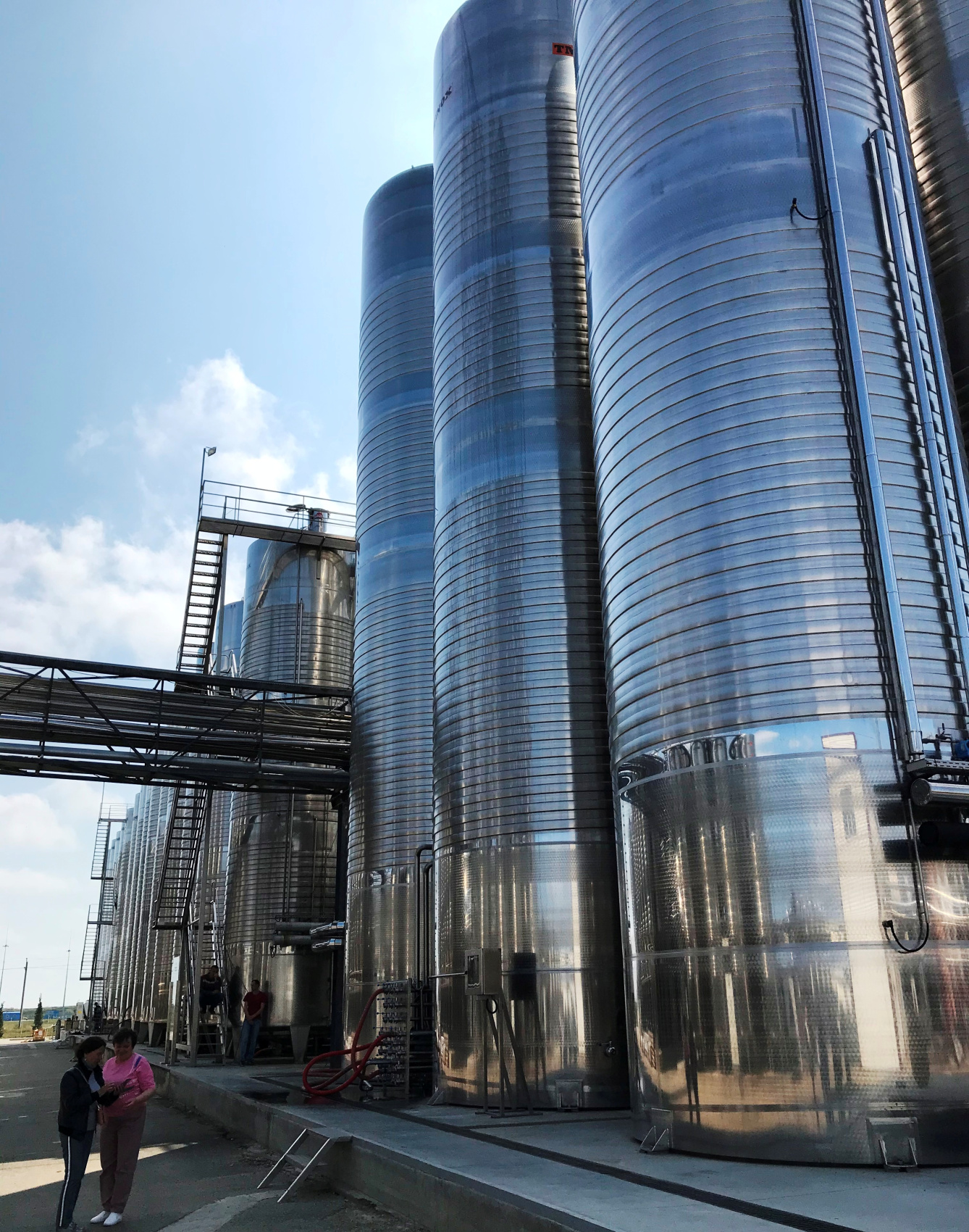 Тамань: вино, сыр и лотосы  винный тур на Таманский полуостров (21/62)