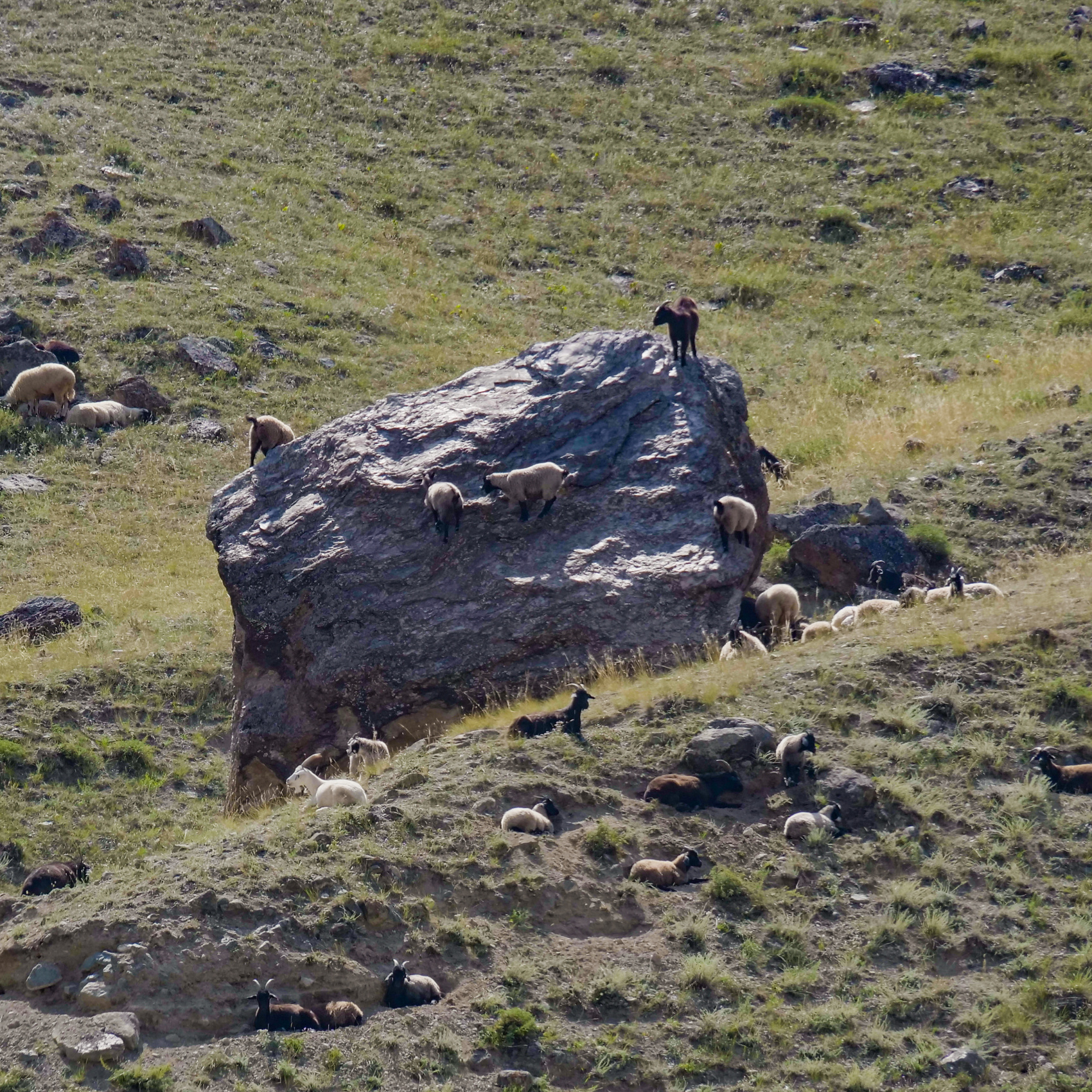 Алтай. Мультинские Озера (20/33)