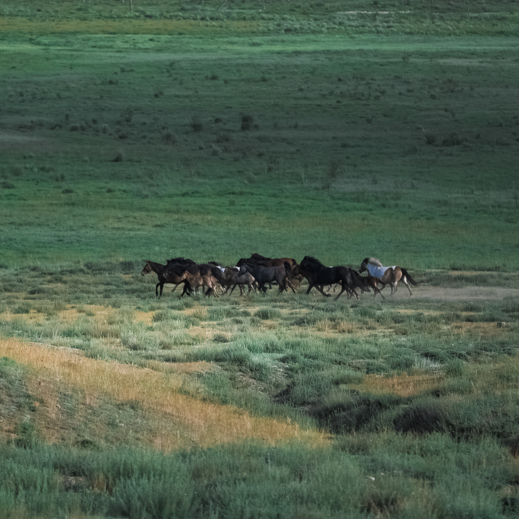 Алтай. Мультинские Озера (18/33)