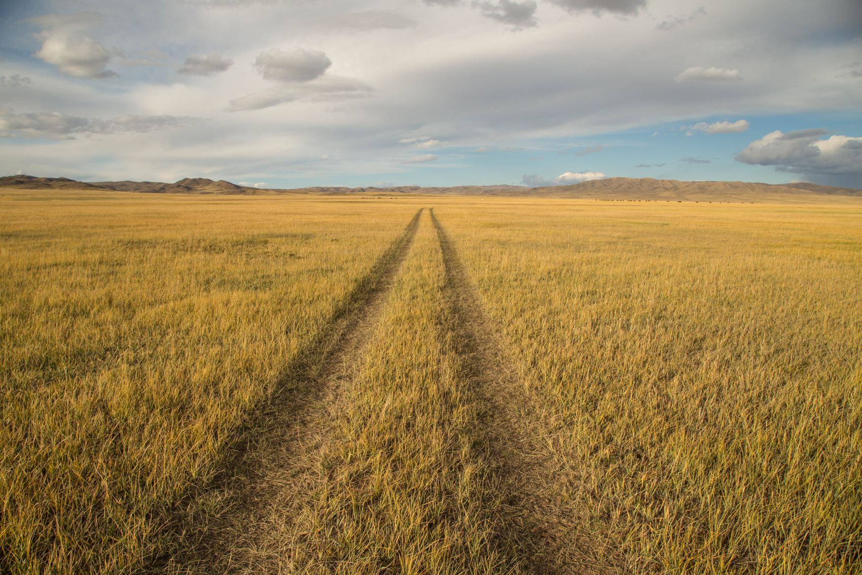 По Пути Центрально Азиатской экспедиции Рериха  К Сердцу Пустыни Гоби (69/130)
