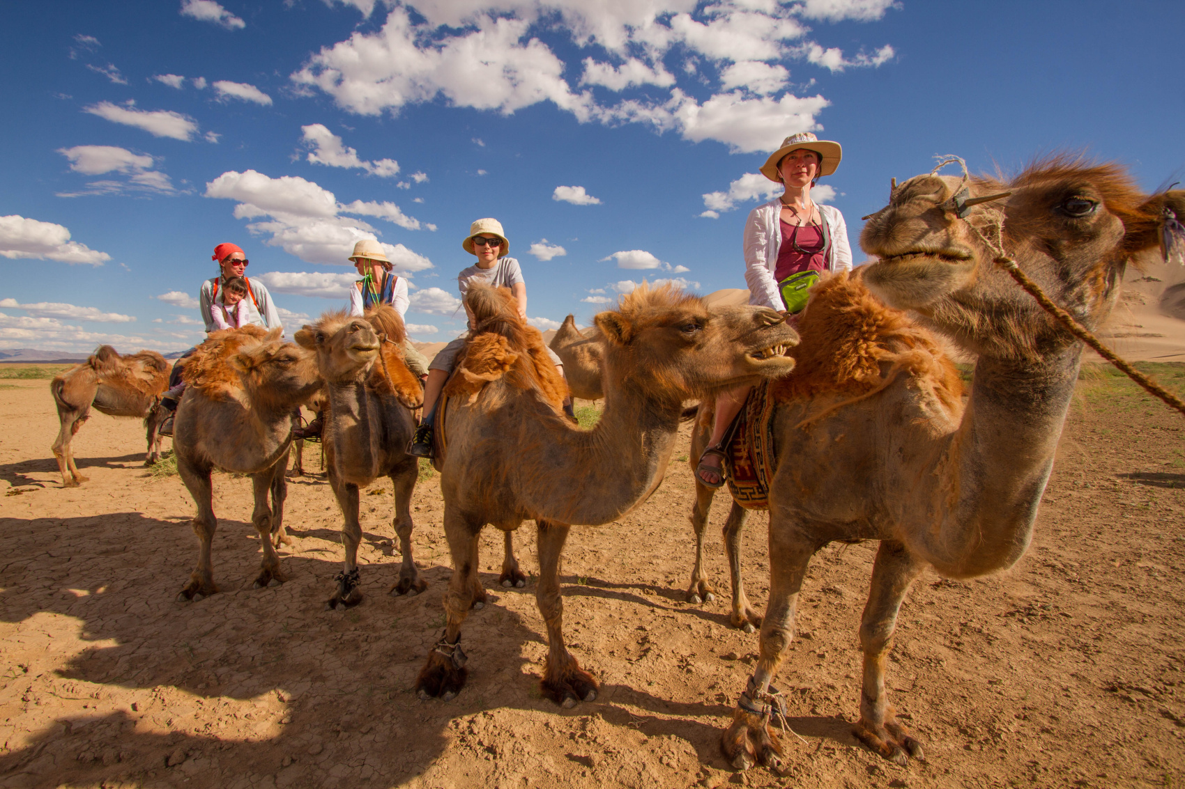 По Пути Центрально Азиатской экспедиции Рериха  К Сердцу Пустыни Гоби (73/130)