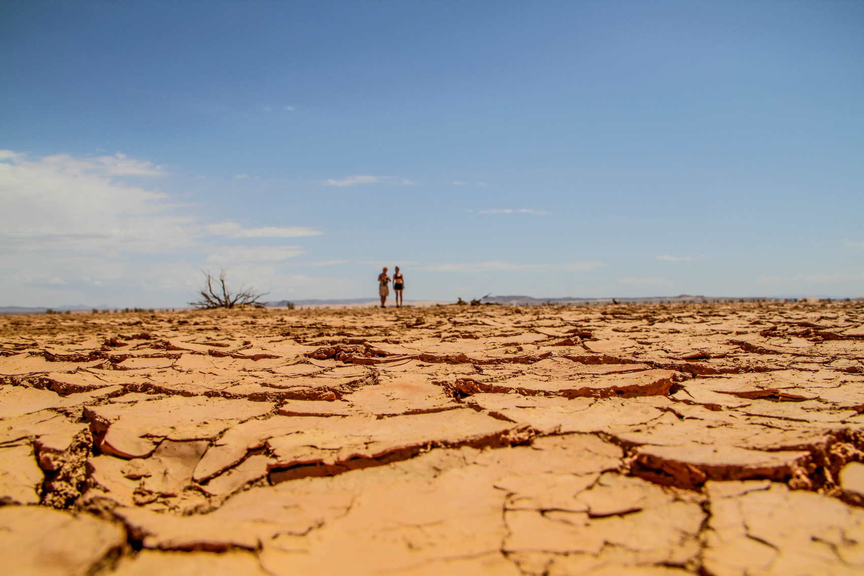 По Пути Центрально Азиатской экспедиции Рериха  К Сердцу Пустыни Гоби (60/130)