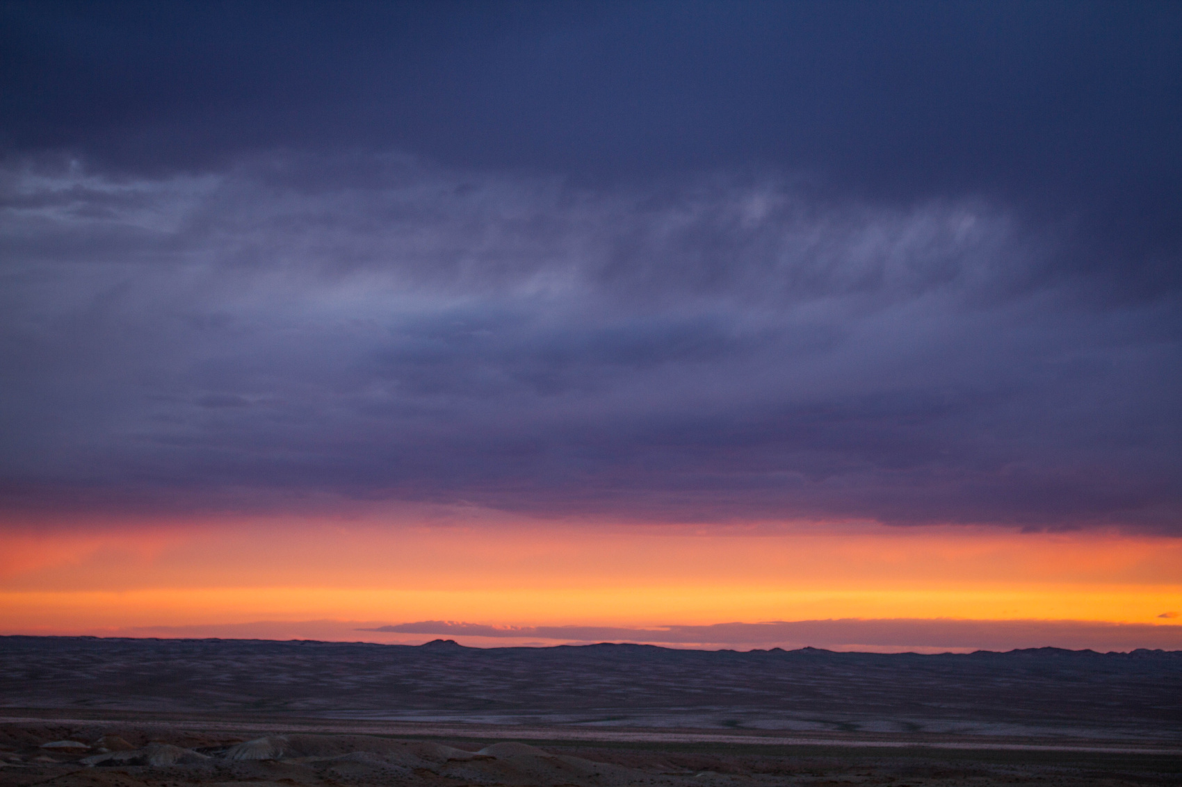 По Пути Центрально Азиатской экспедиции Рериха  К Сердцу Пустыни Гоби (71/130)