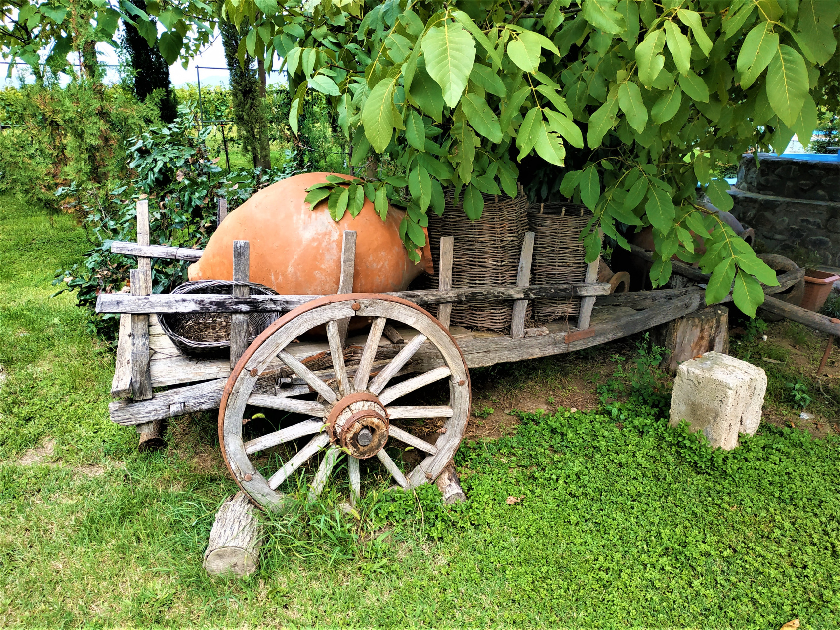 Тур в Тбилиси на выходные (15/51)