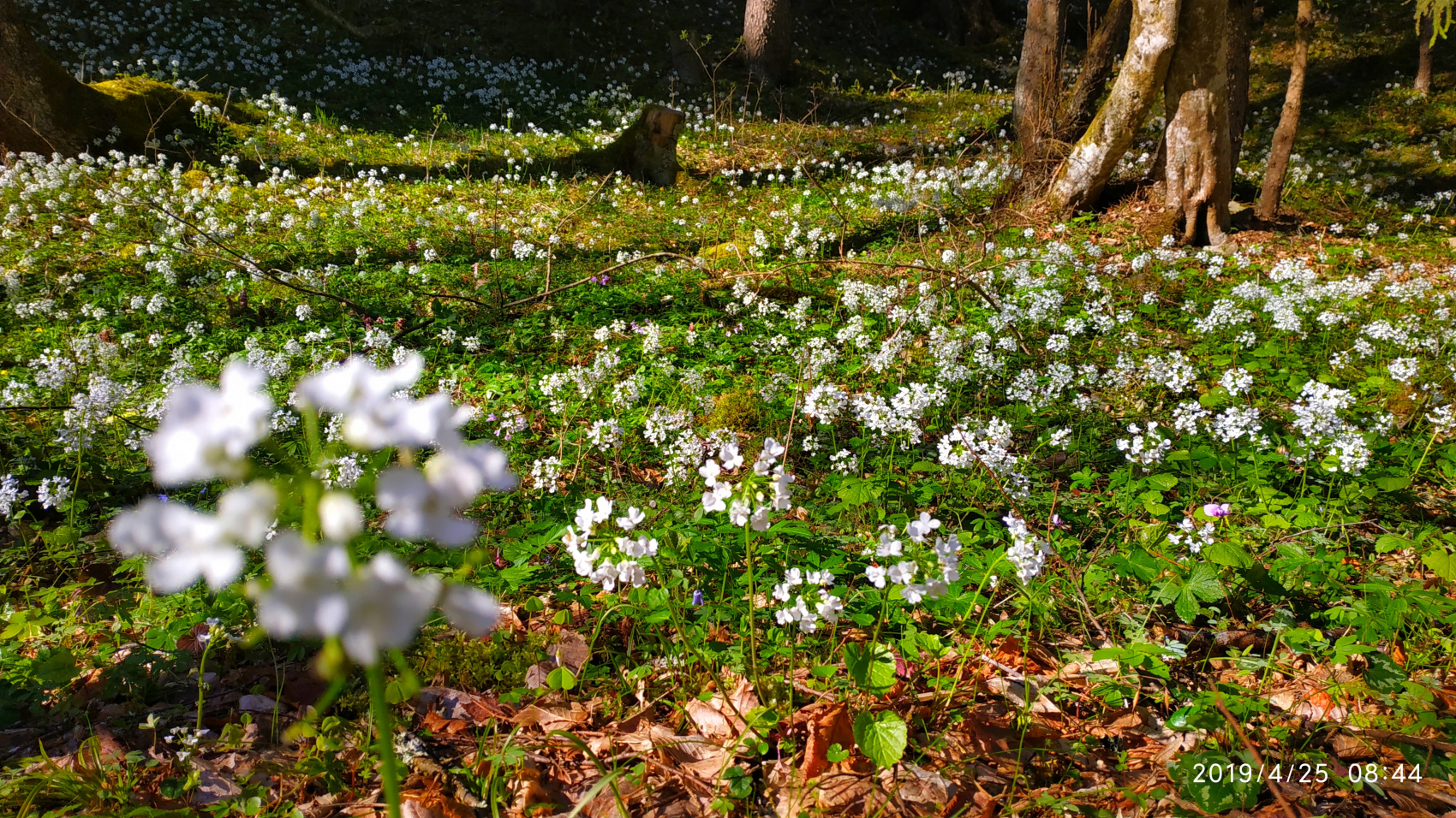 Тур в Тбилиси на выходные (19/51)