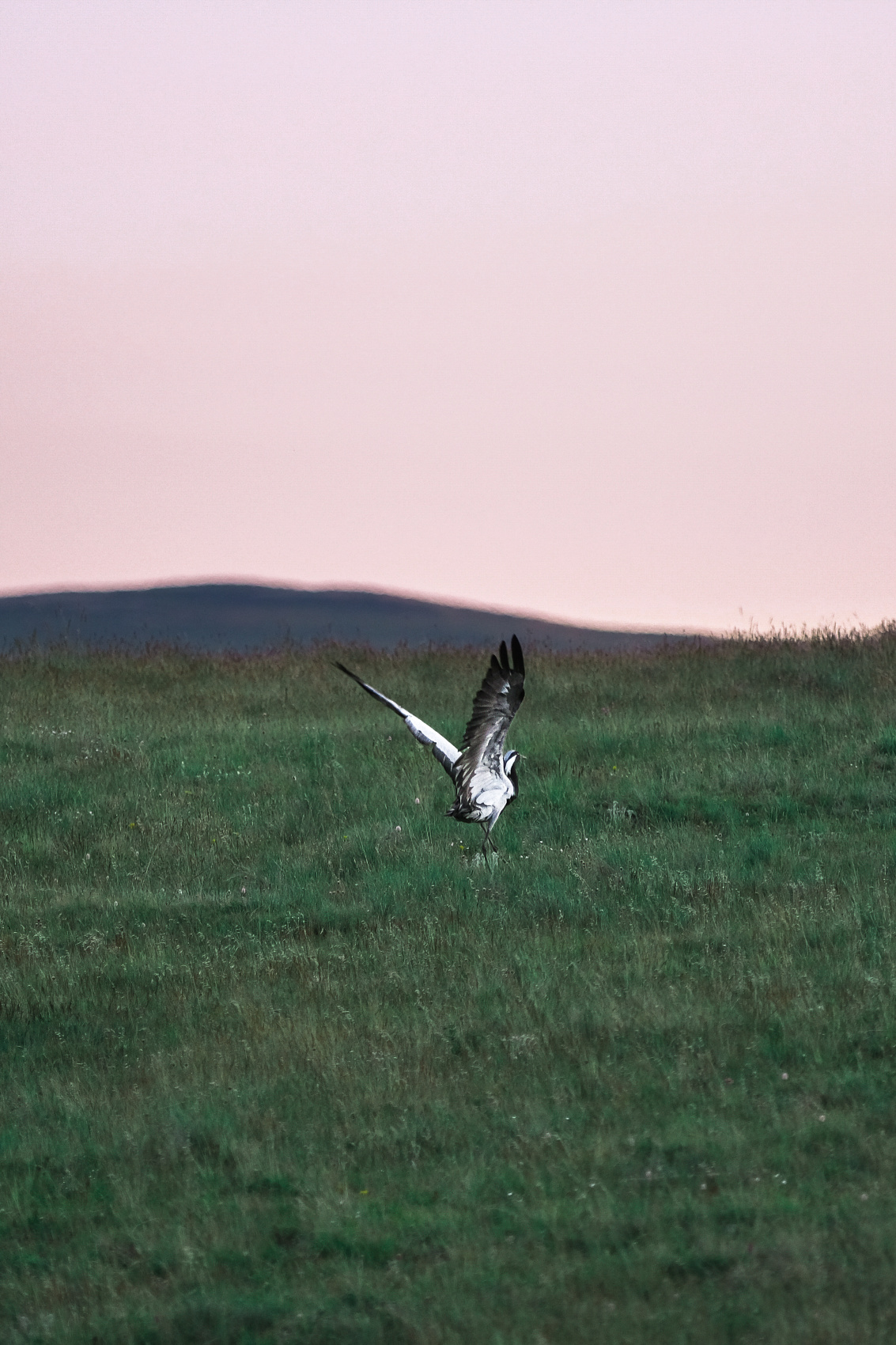 Карагемский Прорыв (57/70)